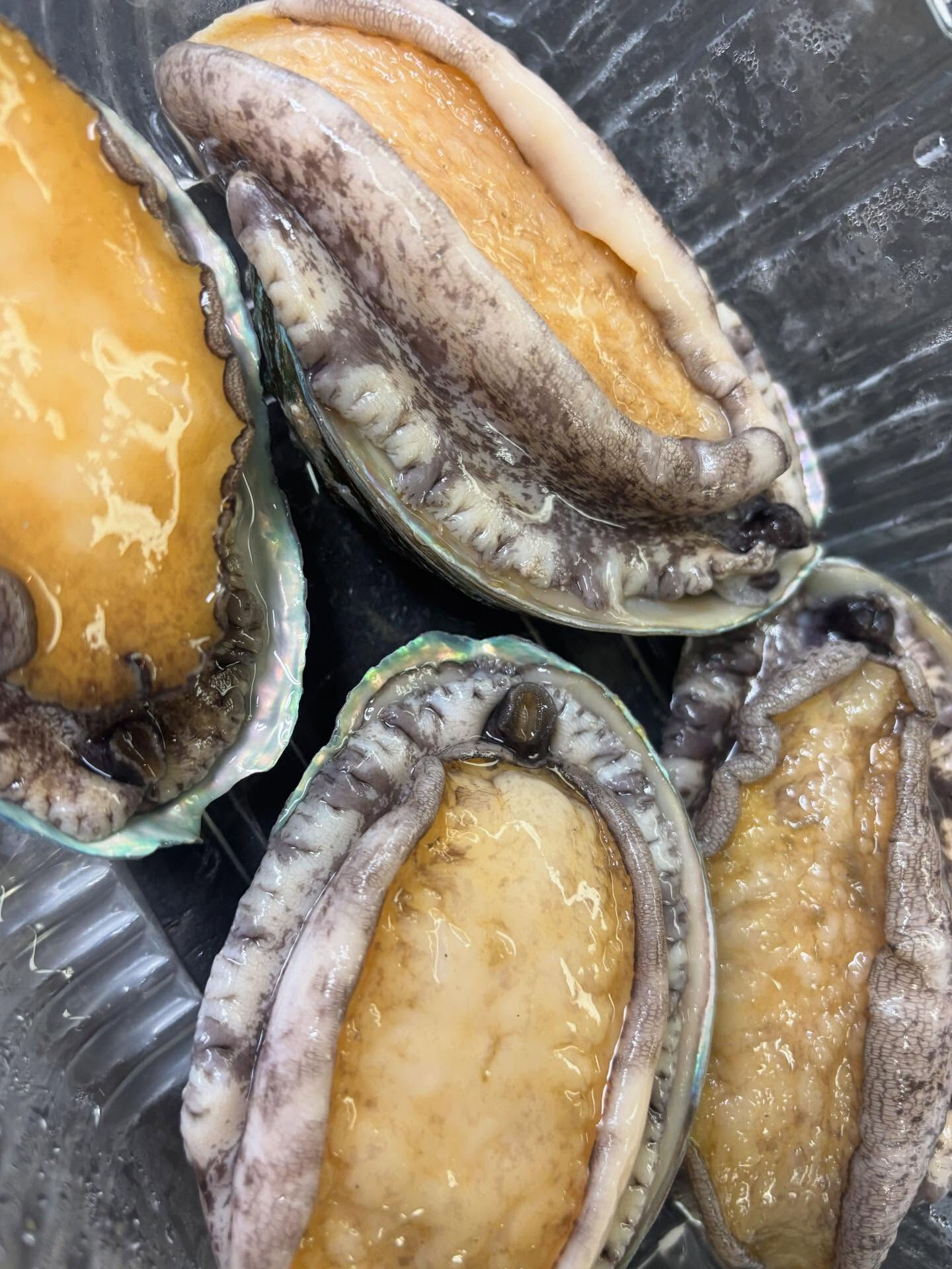 ☆アワビステーキ
