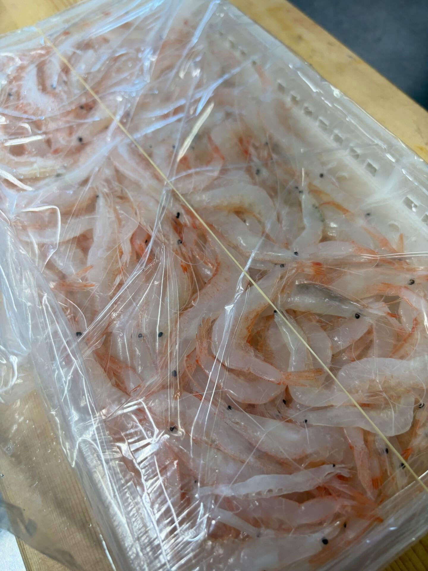 ☆本日の仕入れ