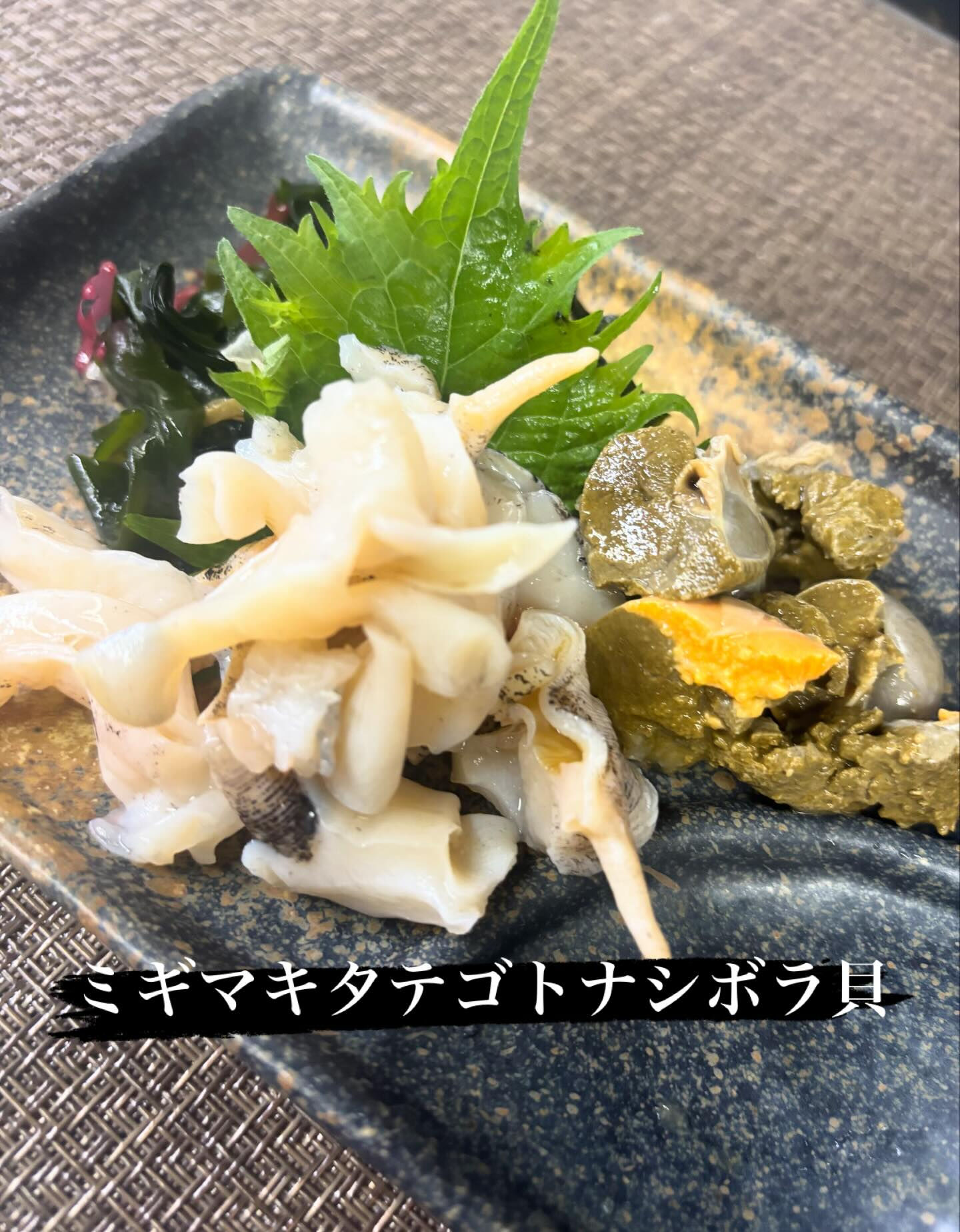 ☆ミギマキタテゴトナシボラ貝