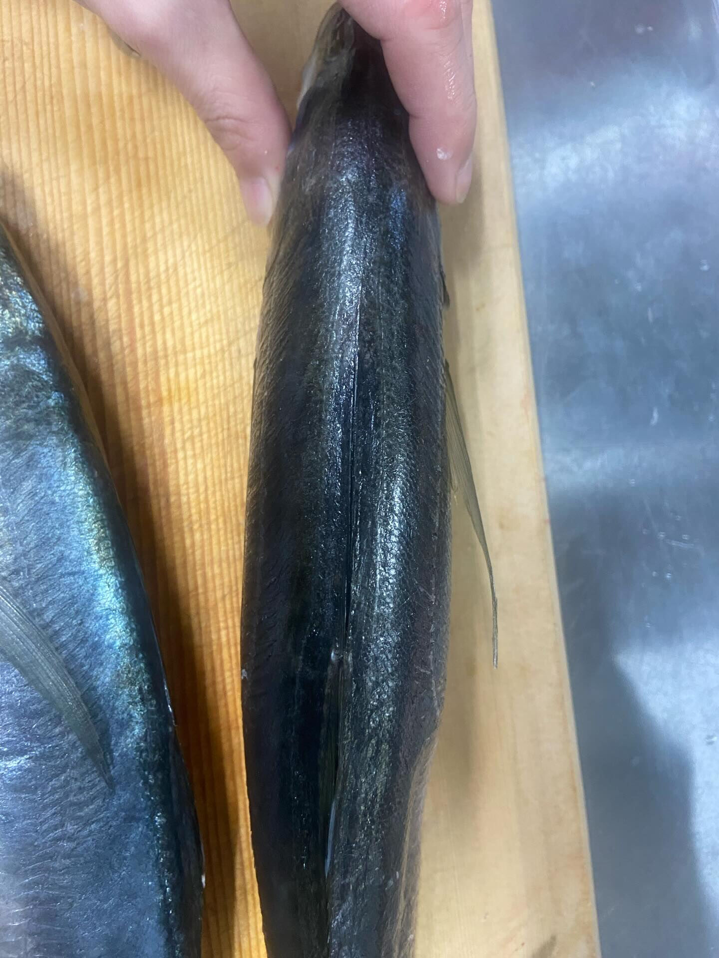 いつもありがとうございます！